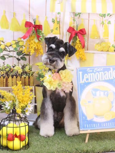 20240412ココくん